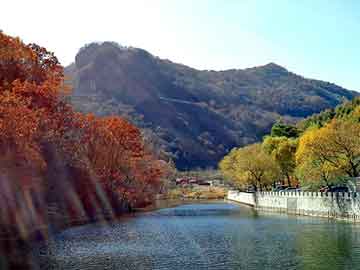 新澳天天开奖资料大全旅游团，桑葚产地